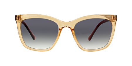 AO9215 2504 51*21*145