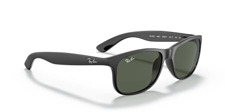 RB 4202 606971 55*17*145