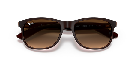 RB 4202 607313 55*17