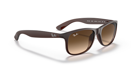 RB 4202 607313 55*17