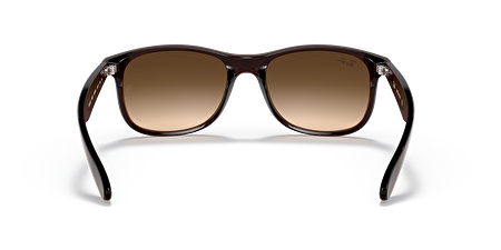 RB 4202 607313 55*17