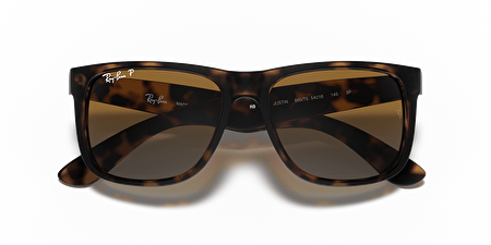 RB 4165 865/T5 55*16*145