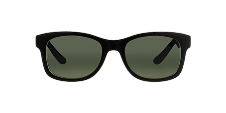 AO9501 M06 44*17*130