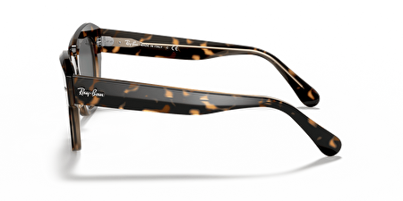 RB 2186 1292B1 49*20*145