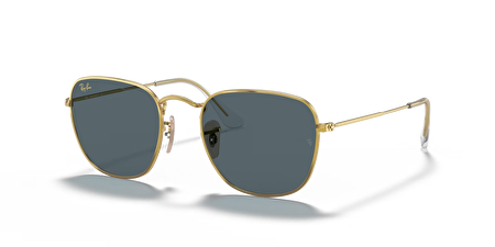 RB 3857 9196R5 51*20*145