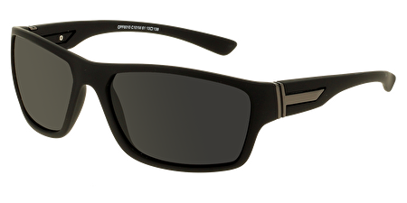 IP OPF6010 101M 61*13*138