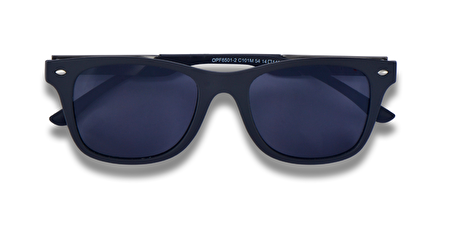 IP OPF6501-2 101M 54*14*140