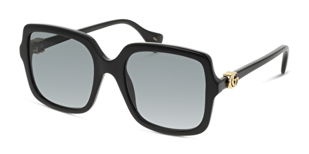 GG1070S 001 54*21*145