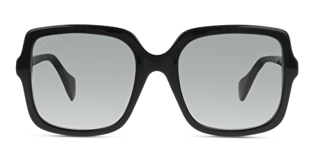 GG1070S 001 54*21*145