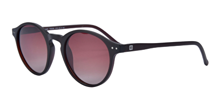 IP PRSS-320 216 49*21*140