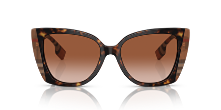 0BE4393 405313 54*17*140