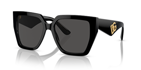 0DG4438 501/87 55*17*145