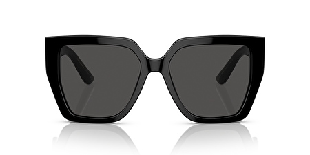 0DG4438 501/87 55*17*145