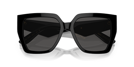 0DG4438 501/87 55*17*145