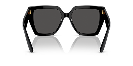 0DG4438 501/87 55*17*145