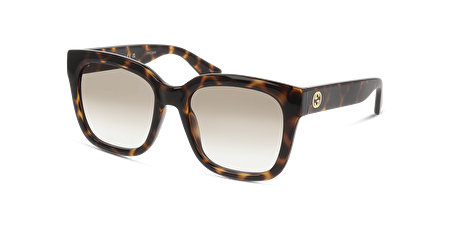 GG1338S 003 54*19*140