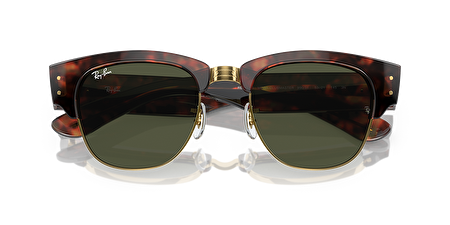 RB 0RB0316S 990/31 50*21*145