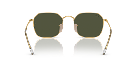 RB 0RB3694 001/31 55*20*145