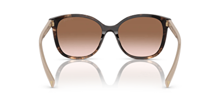 0PR 22ZS 07R0A6 53*17*145