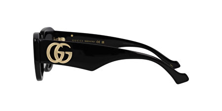 GG1421S 001 51*20*145