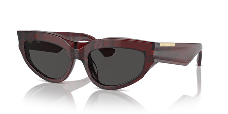 0BE4425U 411587 55*19*140