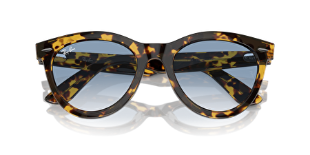 RB 0RB2241 13323F 54*21*150