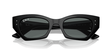 RB 0RB4430 667781 49*22*145