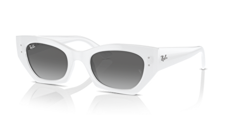 RB 0RB4430 675911 49*22*145