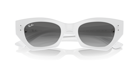 RB 0RB4430 675911 49*22*145