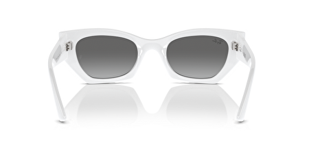 RB 0RB4430 675911 49*22*145