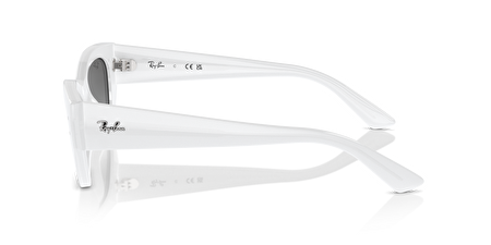 RB 0RB4430 675911 49*22*145