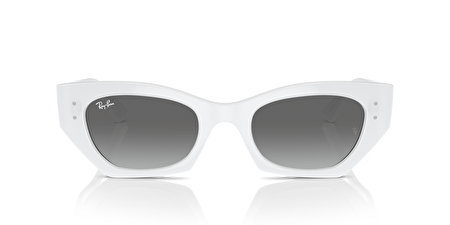 RB 0RB4430 675911 49*22*145