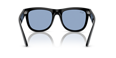 RB 0RBR0502S 667772 50*22*145