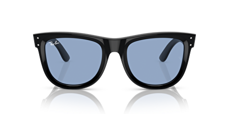 RB 0RBR0502S 667772 50*22*145