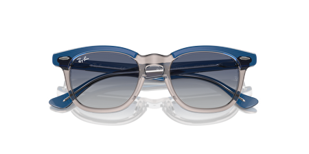 0RJ9098S 71554L 45*18*130