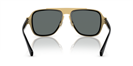 0VE2199 100281 56*18*145