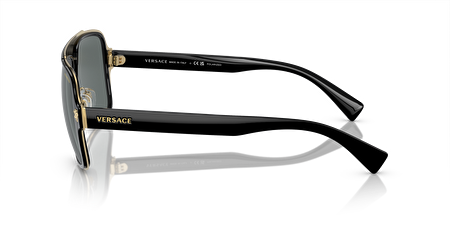 0VE2199 100281 56*18*145