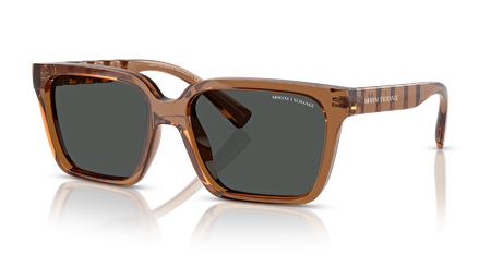 Armani Exchange Erkek Güneş Gözlüğü GU036669 Armani Exchange Erkek Güneş Gözlüğü GU036669