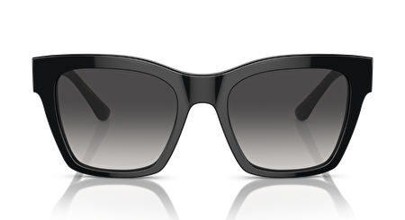 0DG4384 501/8G 53*20*145