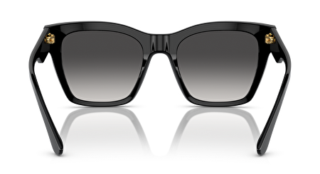 0DG4384 501/8G 53*20*145