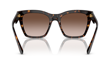 0DG4384 502/13 53*20*145