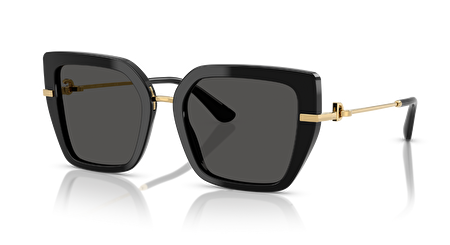 0DG4474 501/87 53*19*140