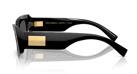 0DG4479 501/87 55*19*140