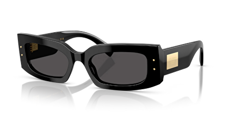 0DG4479 501/87 55*19*140