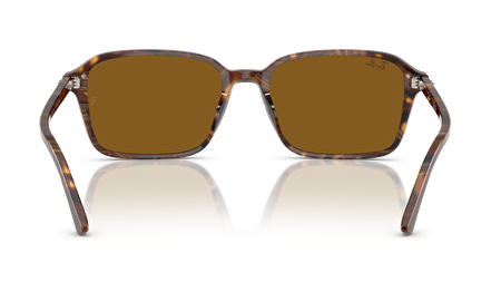 RB 0RB2231 141833 58*18*145