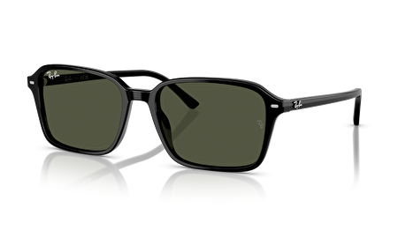 RB 0RB2231 901/31 58*18*145