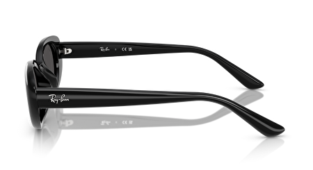 RB 0RB4441D 667787 53*21*145