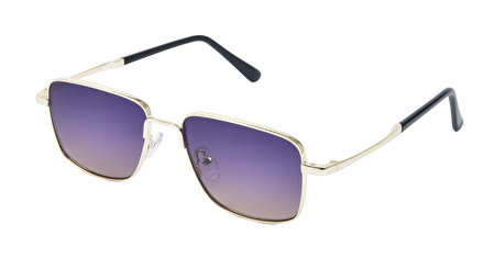 IF PR262 C3 50*14*160