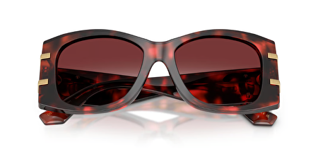 0DG4501 33588H 54*17*145