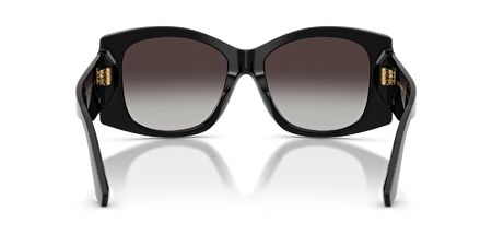 0DG4501 501/8G 54*17*145